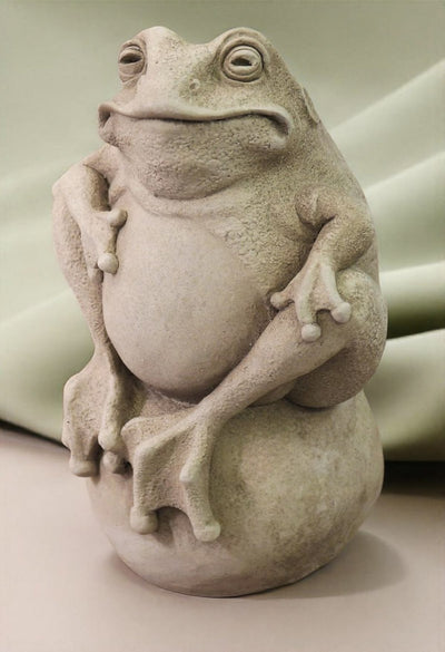 Frog On A Stone