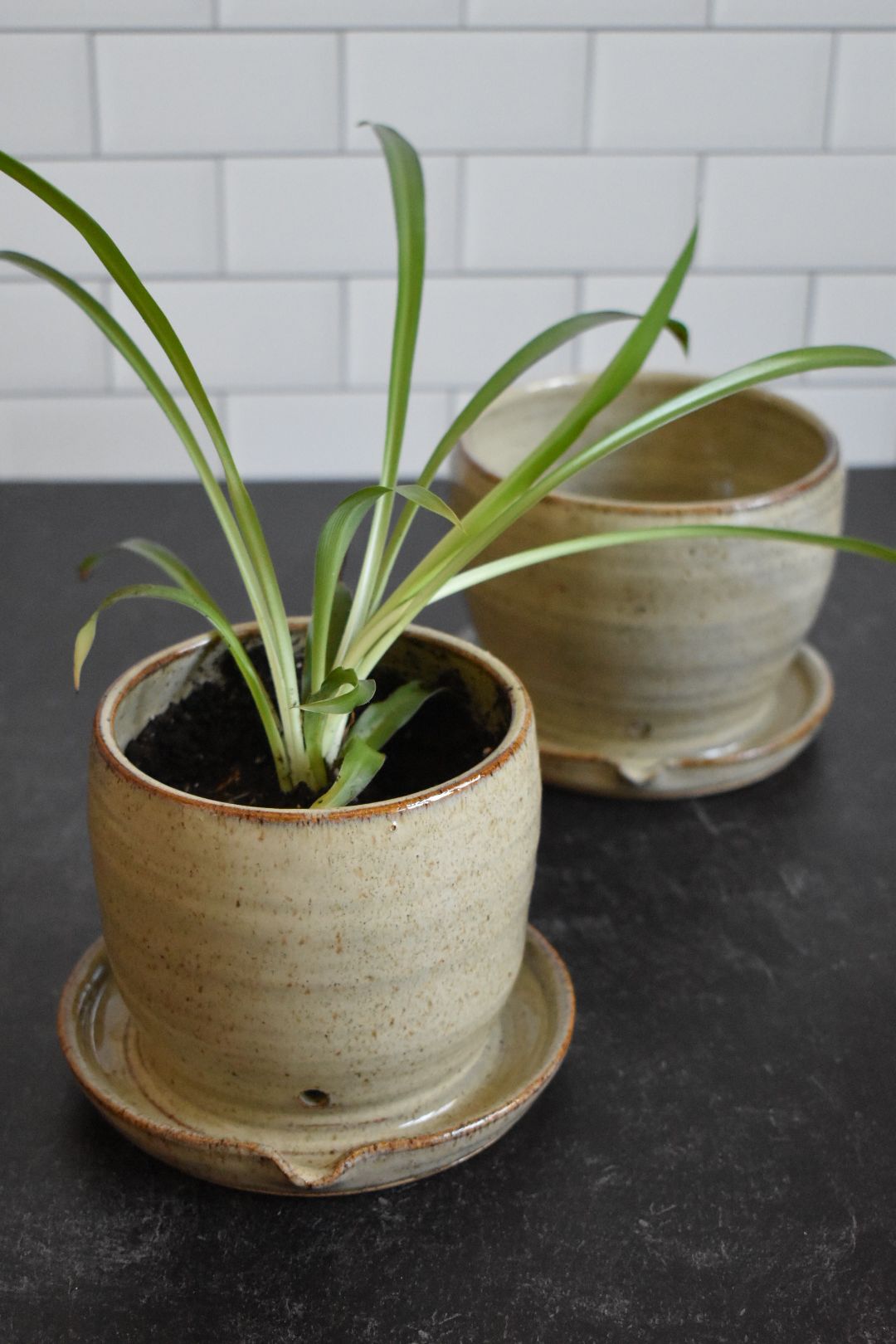 Small Drainage Planter