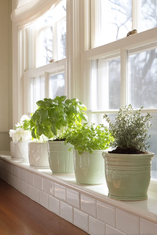 Windowsill Herb Pot